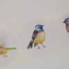 Stickers Vogel 12 stuks - Afbeelding 4