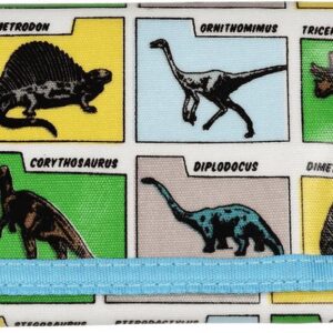Portemonnee Dino voor kinderen