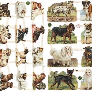 Poëzie plaatjes Honden puppy's Vintage afbeeldingen